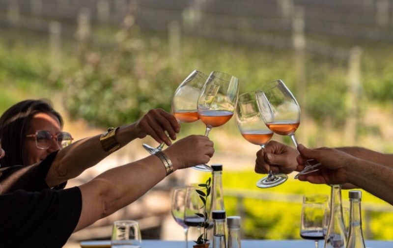 Finca Bandini Viñedos